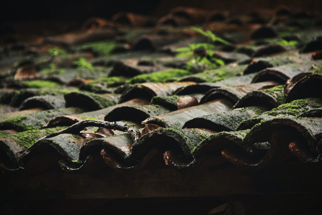 Des tuiles de toits verts.