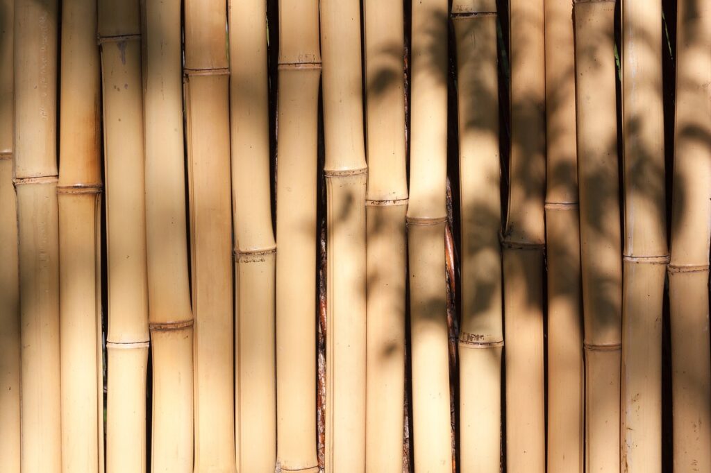 Brise-vue en bambous.