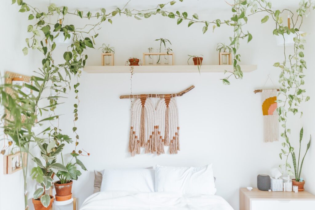 chambre blanche avec plante et décor cocooning