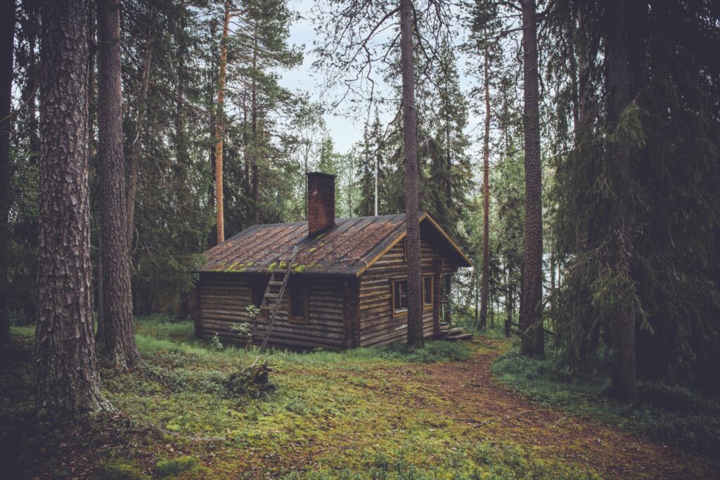 magnifique cabane dans les bois