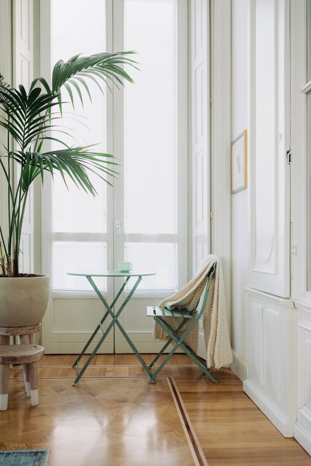 Pièce avec parquet, une plante une table et une chaise.