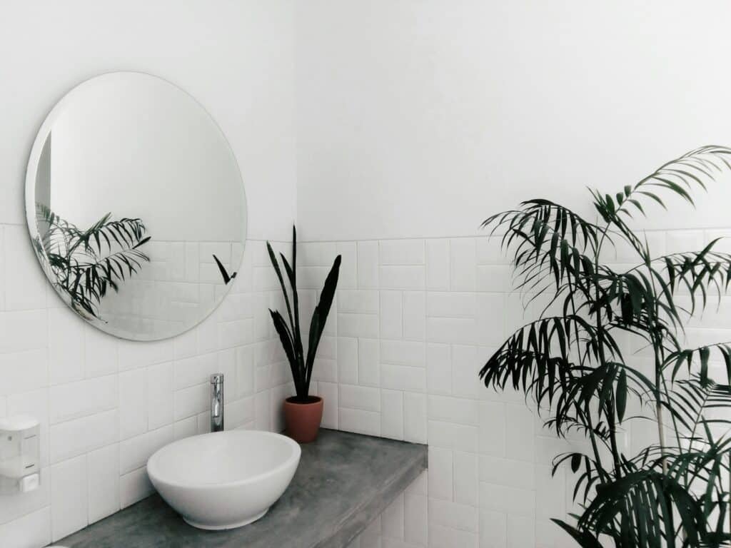 miroir avec plantes