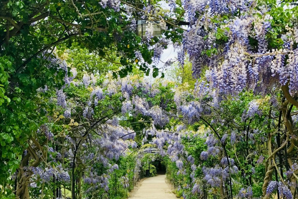 aménagement extérieur jardin anglais