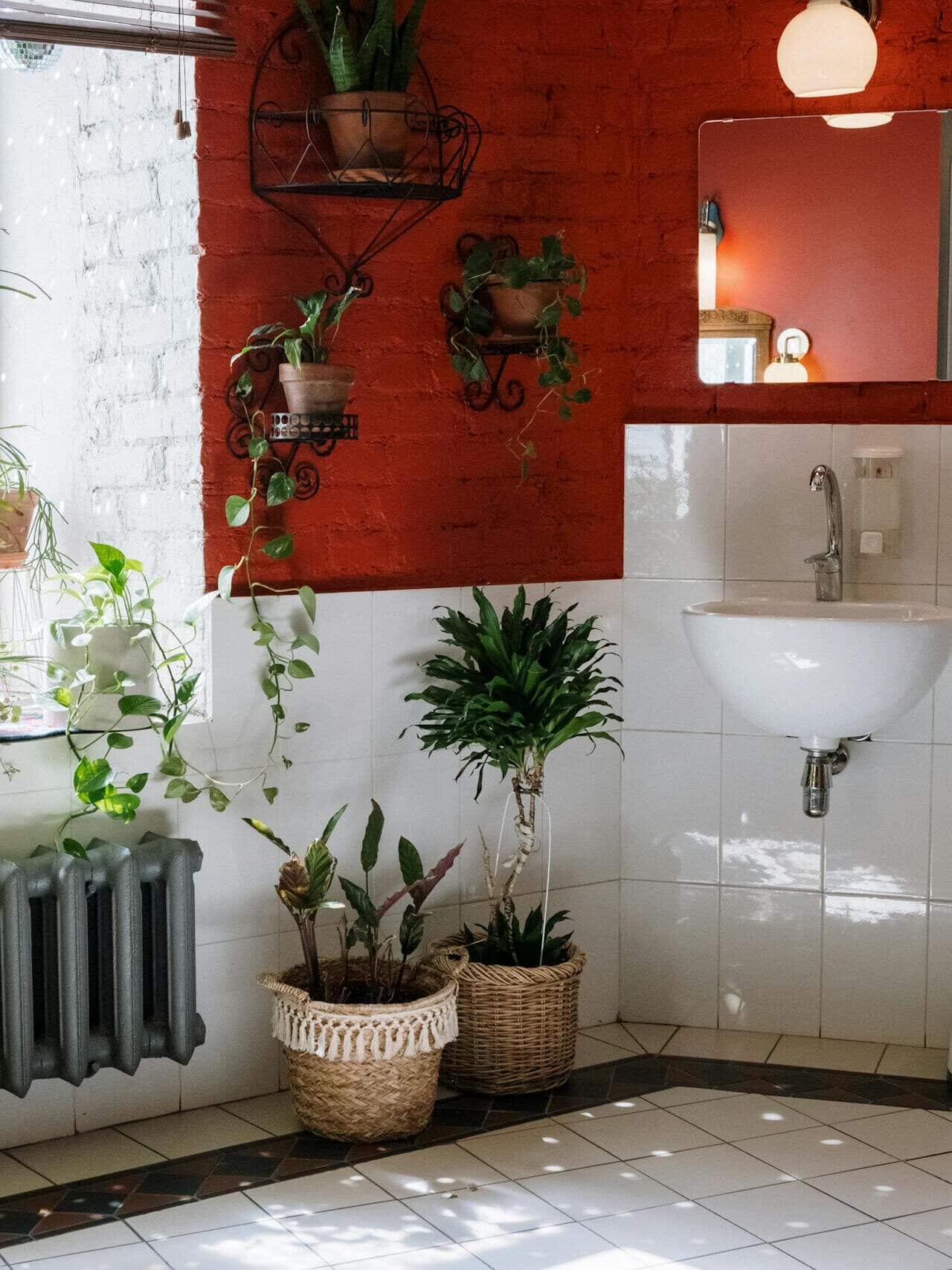 Salle de bain avec plusieurs plantes