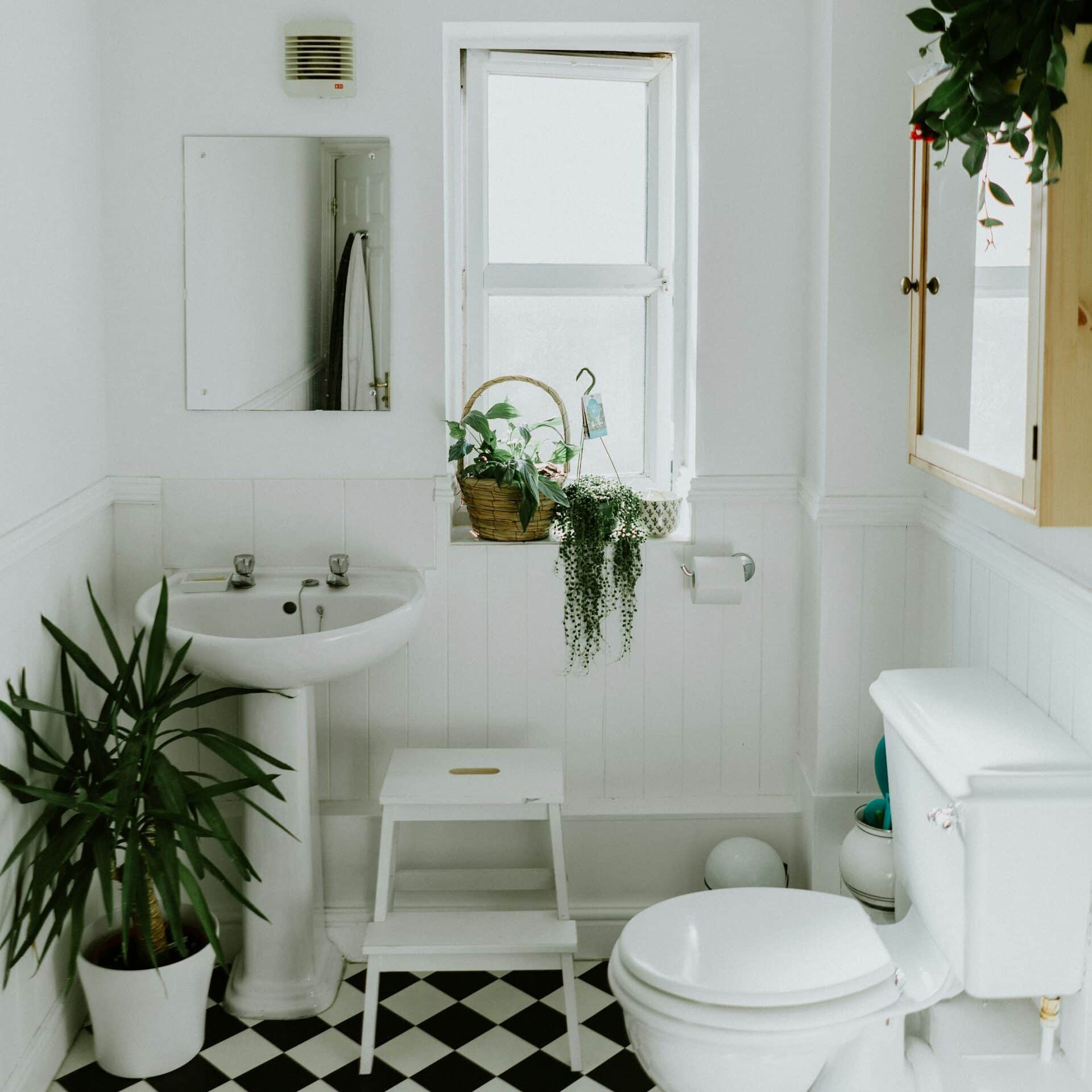 salle de bain à carreaux