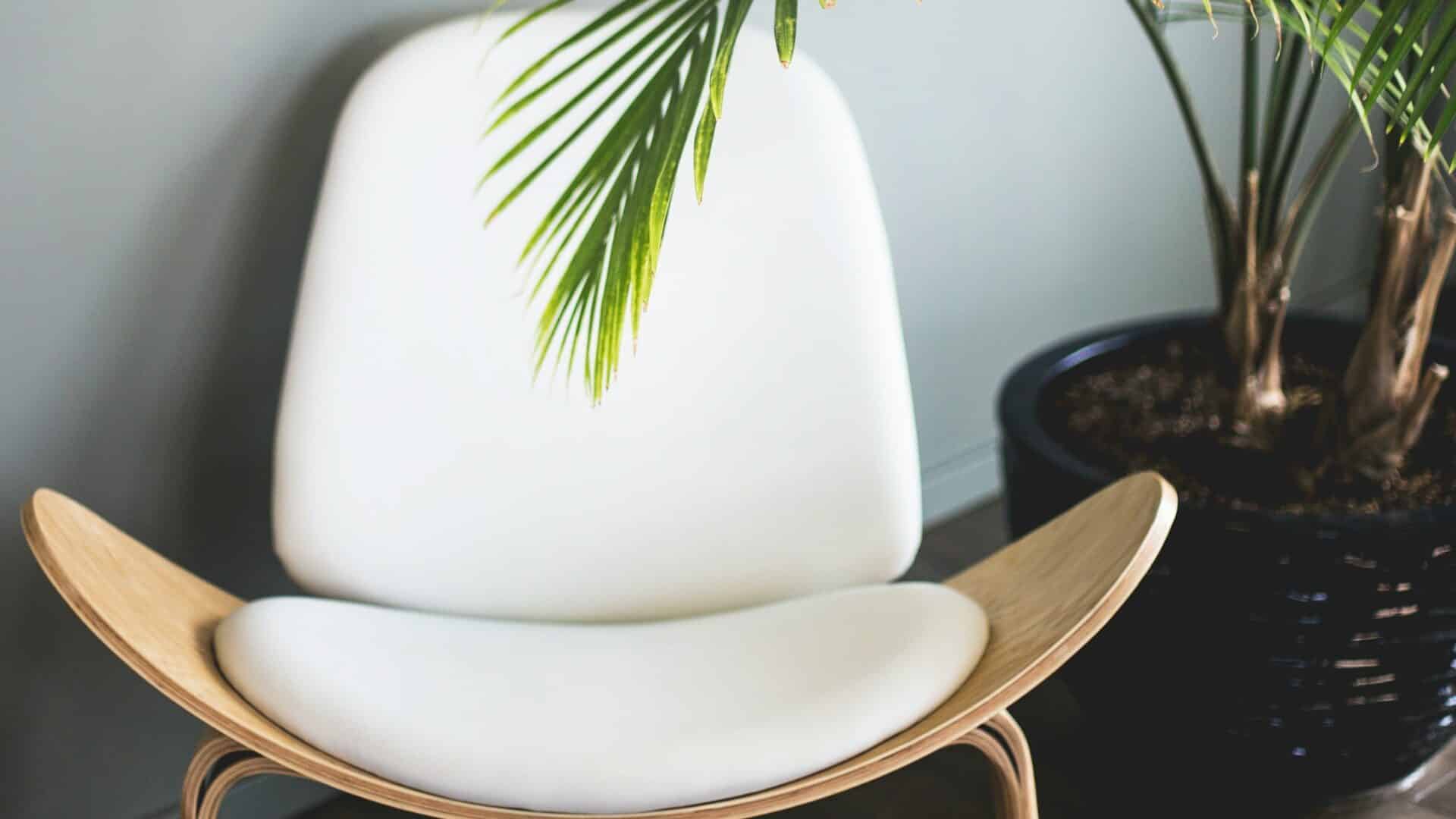 chaise blanche design avec une plante derrière